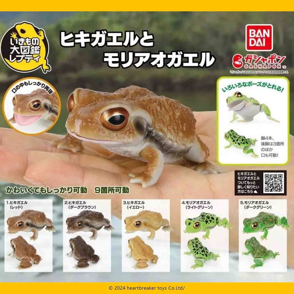 Bandai 扭蛋 - 蟾蜍與張樹蛙 (全套5款) 