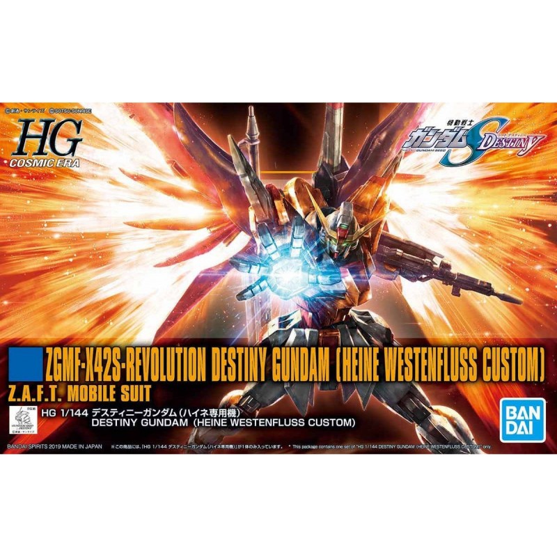 HGCE 1/144 Destiny Gundam (Heine Use) 226