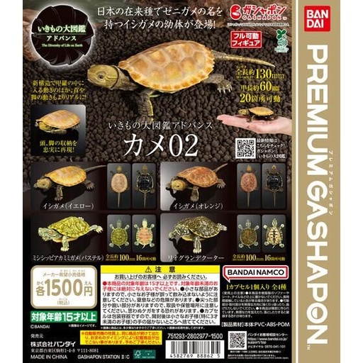 [BA-888625] Bandai Gashapon - The Diversity Of Life On Earth Advance Turtle 02 (Set of 4)